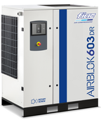 Винтовой компрессор Fiac AIRBLOK AX603DR-SD DRY 13 на ps24.ru
